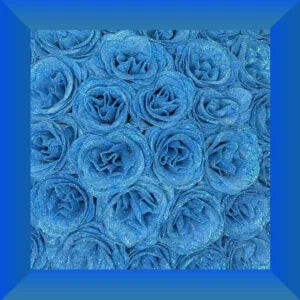 Buchet de trandafiri Azure Radiance Infinity