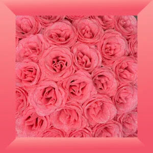 Buchet de trandafiri cu săpun roz Stardust Luxe