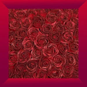 Buchet de trandafiri  Radiance Infinity